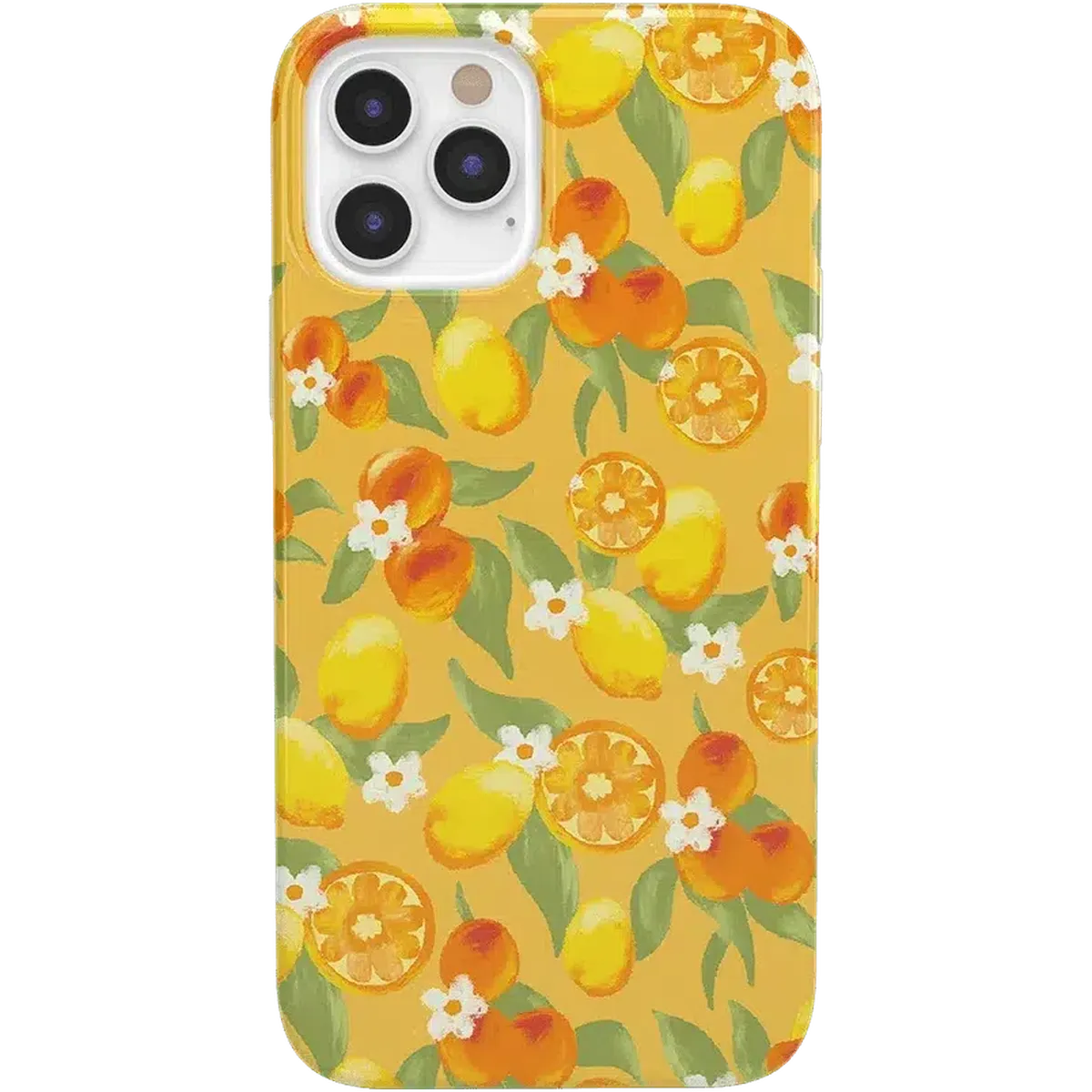 Positano | Dippin' Daisy's Italian Coast Case iPhone Case get.casely Classic iPhone 12 Pro Max